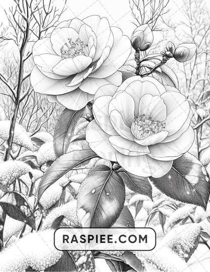 77 Winter Flowers Adult Coloring Pages