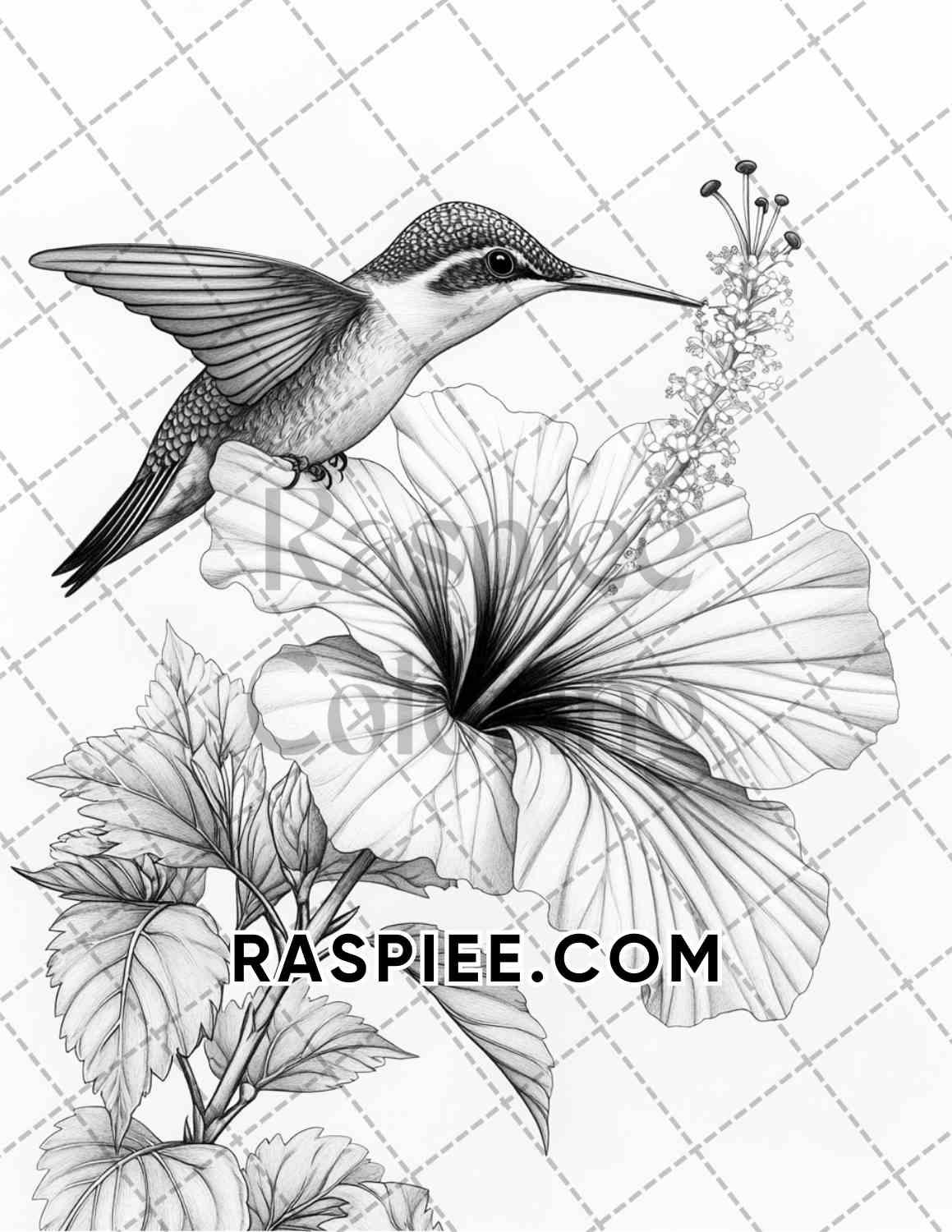 Flowers and Birds Adult Coloring Pages Printable PDF Instant Download - RASPIEE