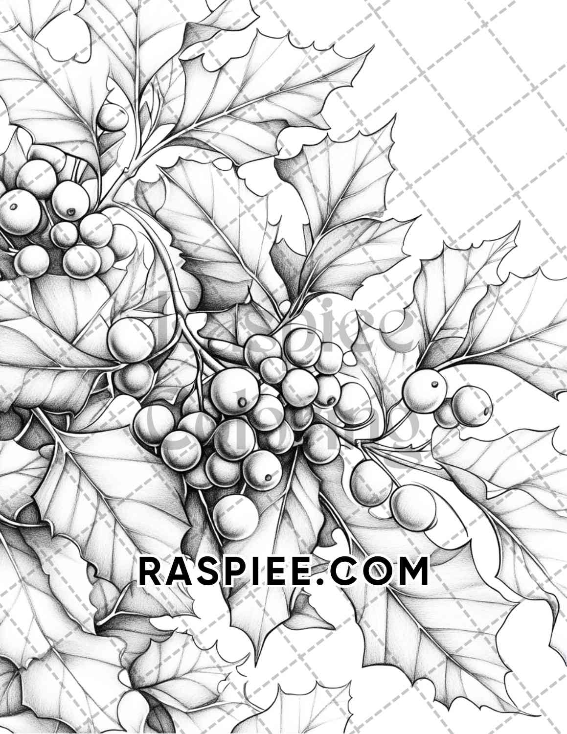 Seasonal Flowers Adult Coloring Pages Printable PDF Instant Download