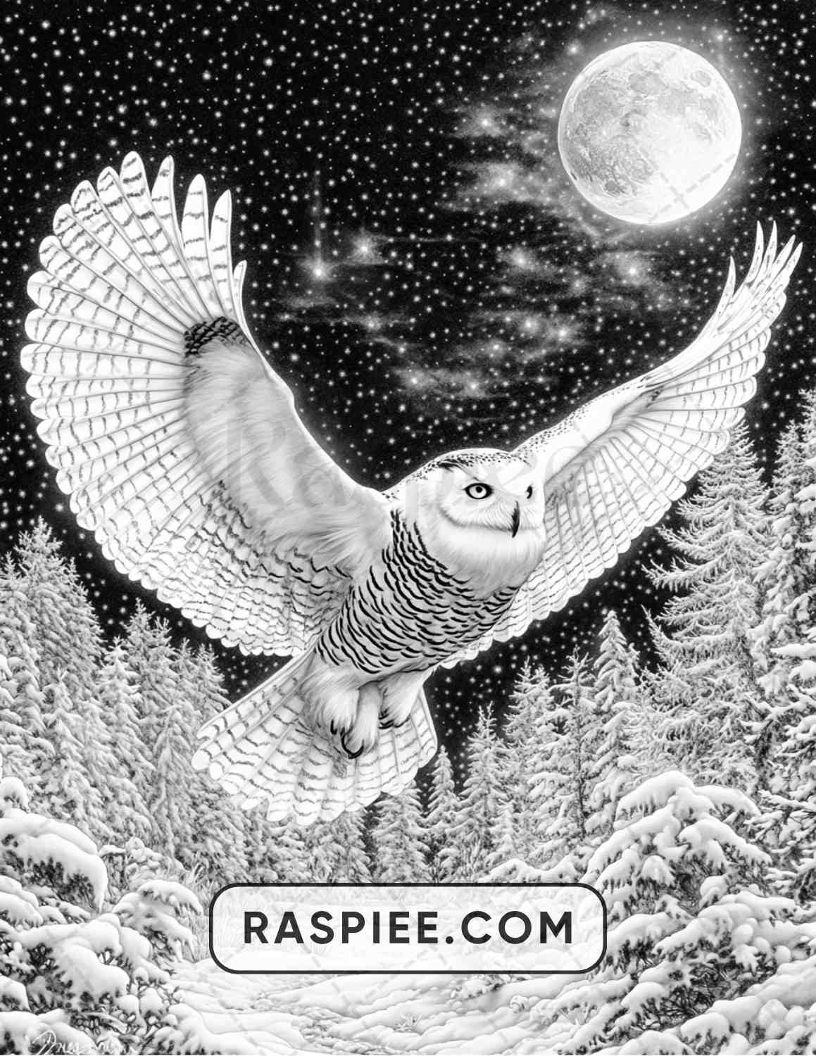 80 Winter Birds Adult Coloring Pages