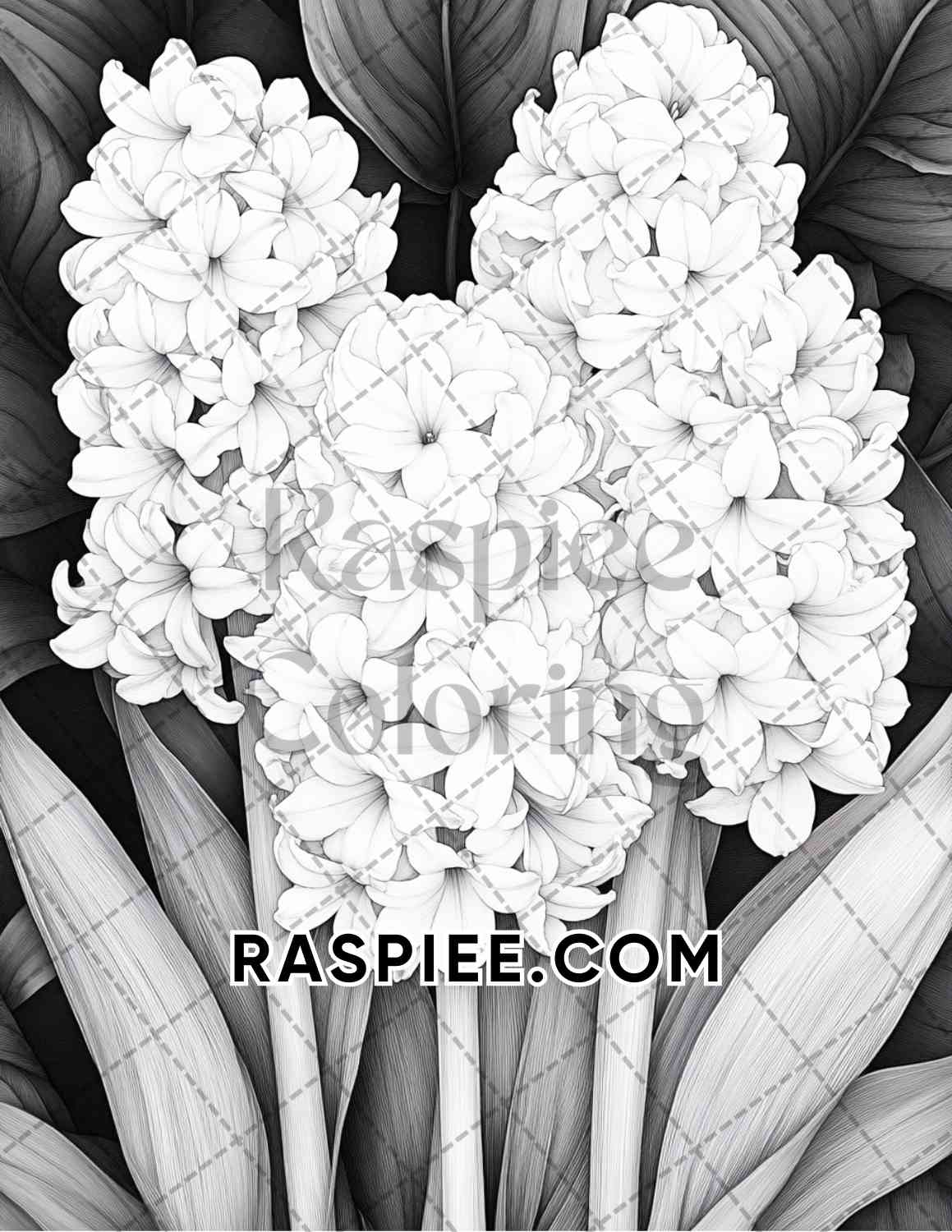 Seasonal Flowers Adult Coloring Pages Printable PDF Instant Download