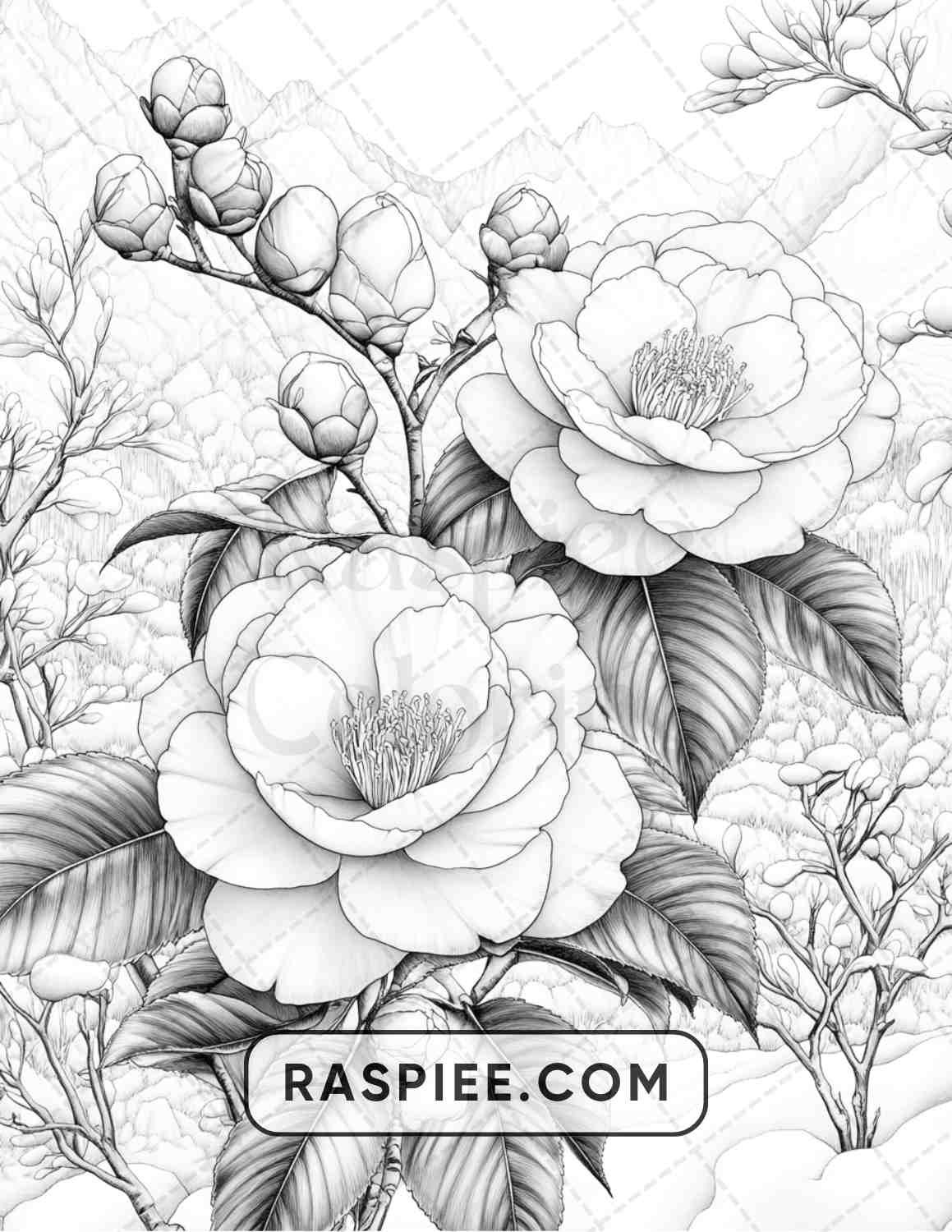 77 Winter Flowers Adult Coloring Pages