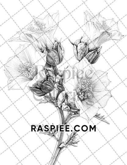 Succulent Blossoms Adult Coloring Pages Printable PDF Instant Download