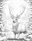 50 Christmas Deer Grayscale Coloring Pages for Adults, Printable PDF I ...