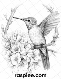60 Spring Birds Grayscale Adult Coloring Pages, Printable PDF Instant ...