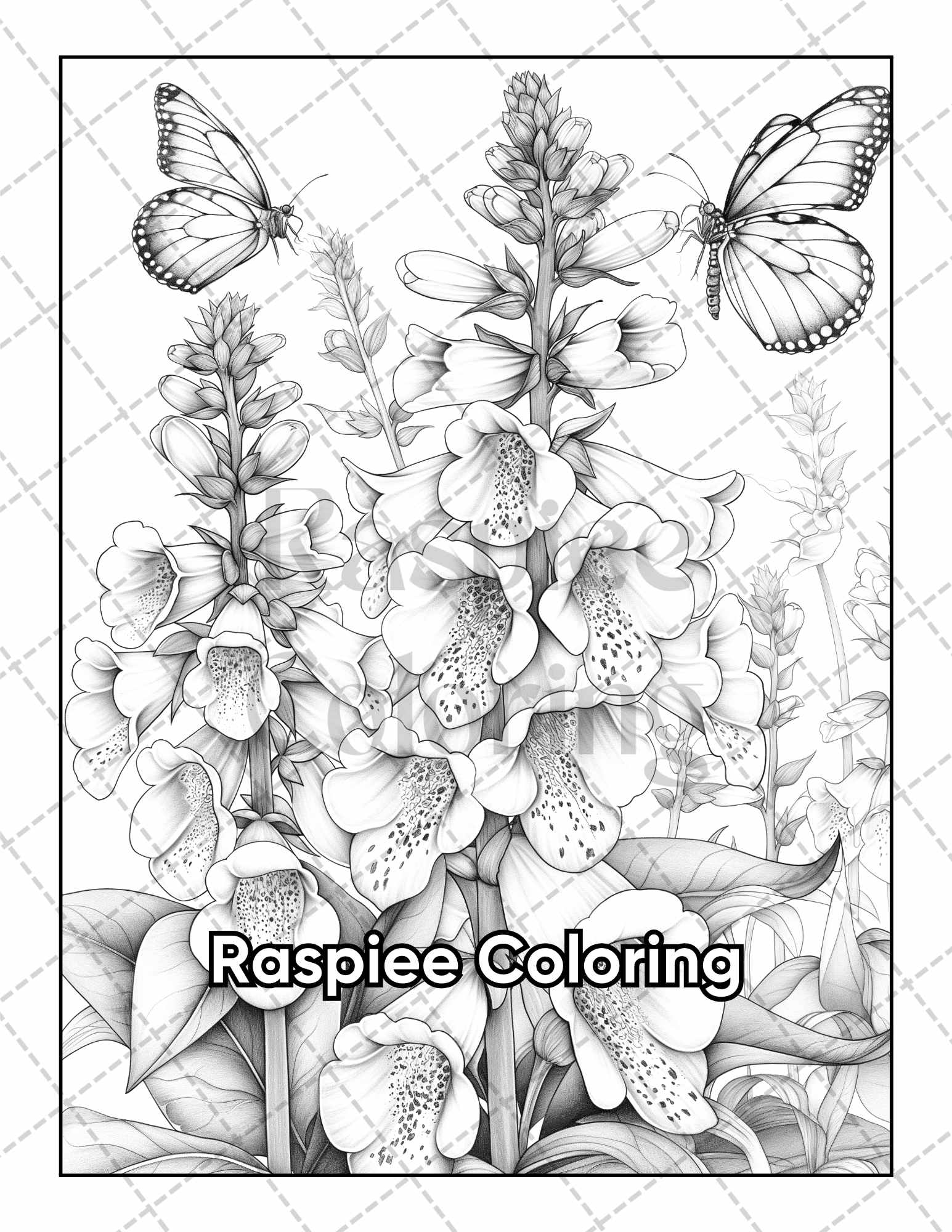 Butterflies & Flowers Adult Coloring Pages