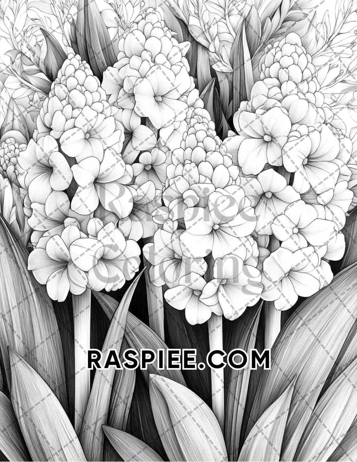 Seasonal Flowers Adult Coloring Pages Printable PDF Instant Download