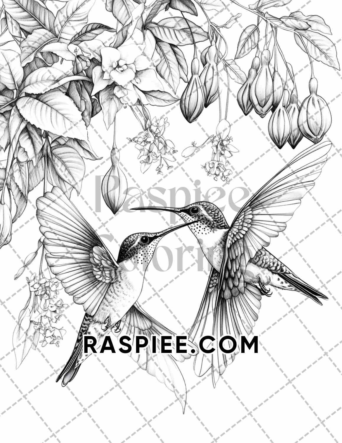 Flowers and Birds Adult Coloring Pages Printable PDF Instant Download - RASPIEE