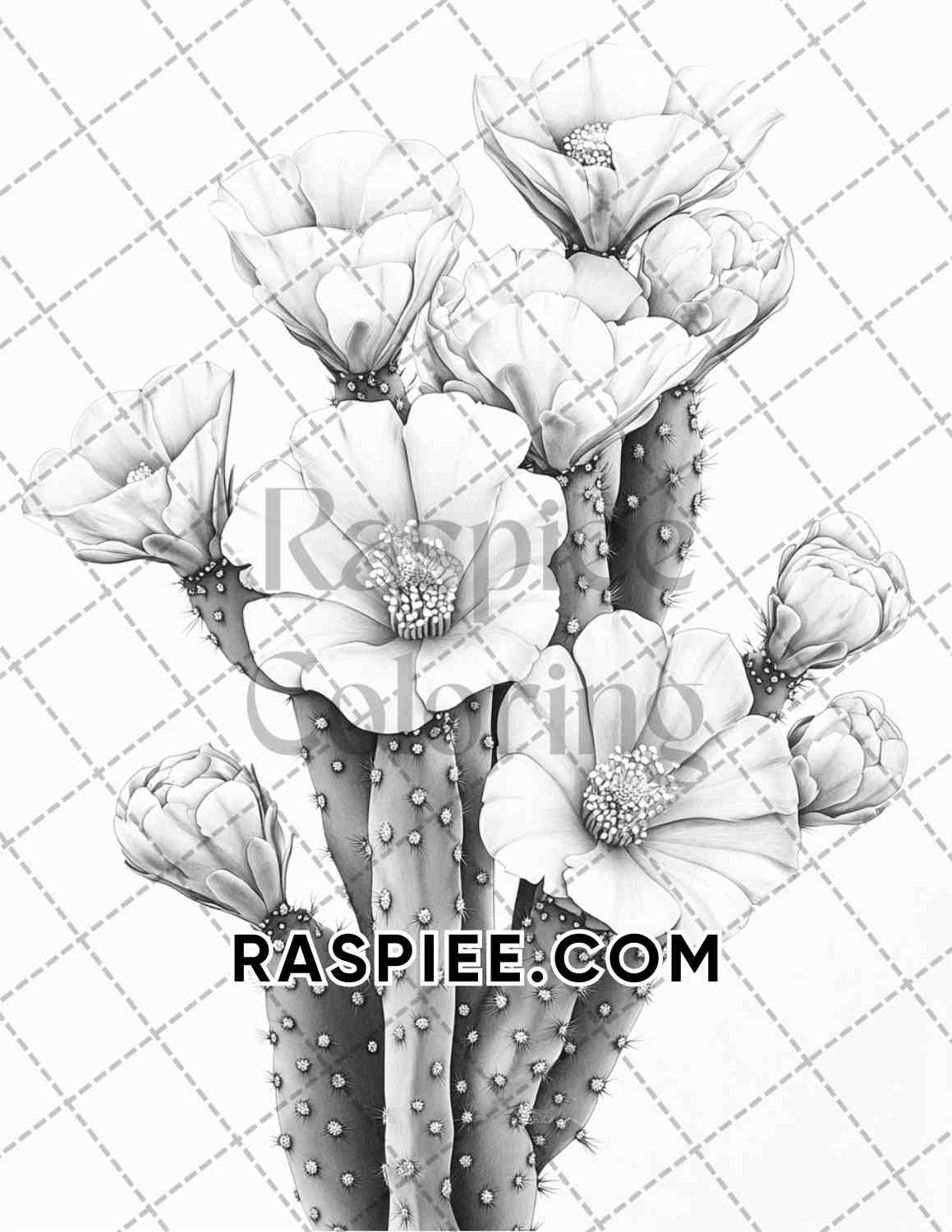 Succulent Blossoms Adult Coloring Pages Printable PDF Instant Download