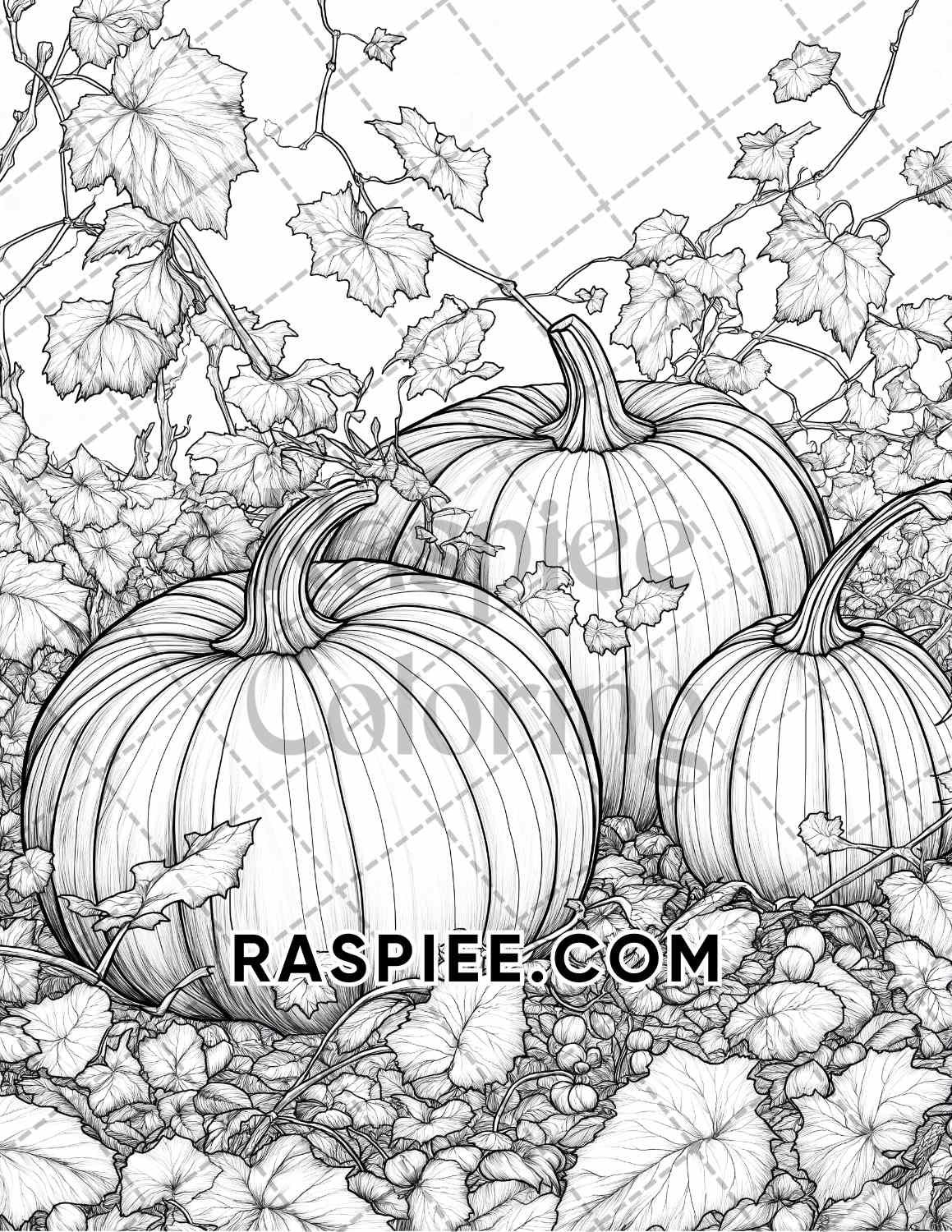 Autumn Charm Adult Coloring Pages Printable PDF Instant Download - RASPIEE