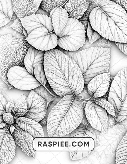 77 Winter Flowers Adult Coloring Pages