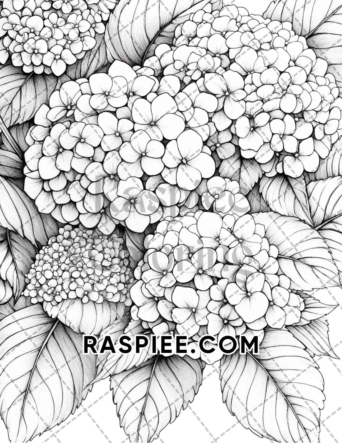 Seasonal Flowers Adult Coloring Pages Printable PDF Instant Download