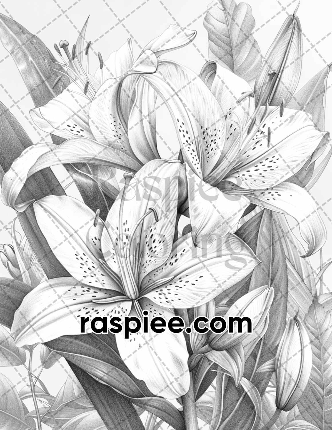 tiger lily coloring page 65 Tropical Flowers Grayscale Adult Coloring Pages Printable PDF Insta – RASPIEE