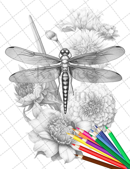 Vintage Botanical Dragonfly Grayscale Coloring Pages Printable for Adults, PDF File Instant Download - raspiee