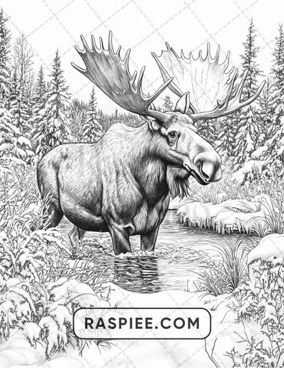 86 Winter Animals Adult Coloring Pages