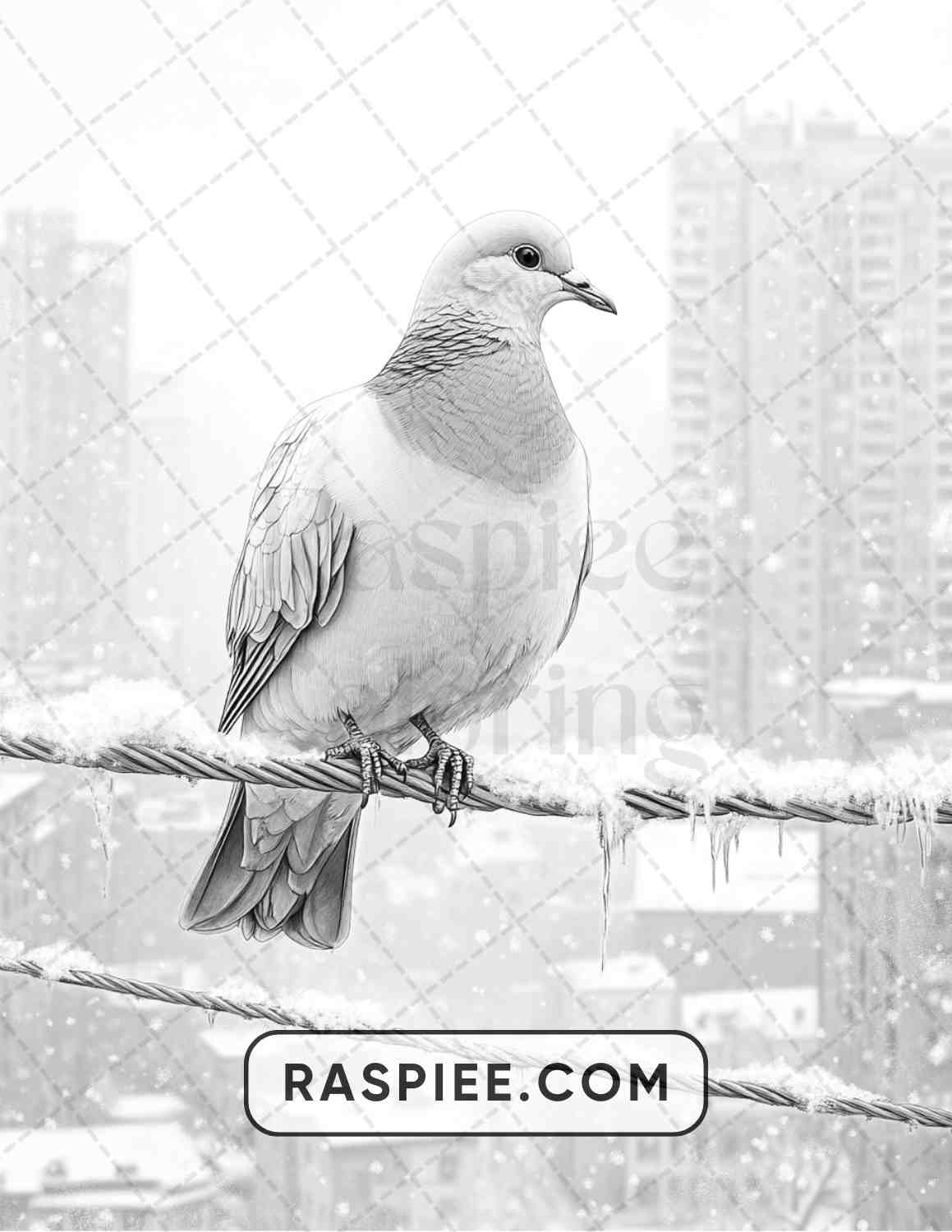 80 Winter Birds Adult Coloring Pages