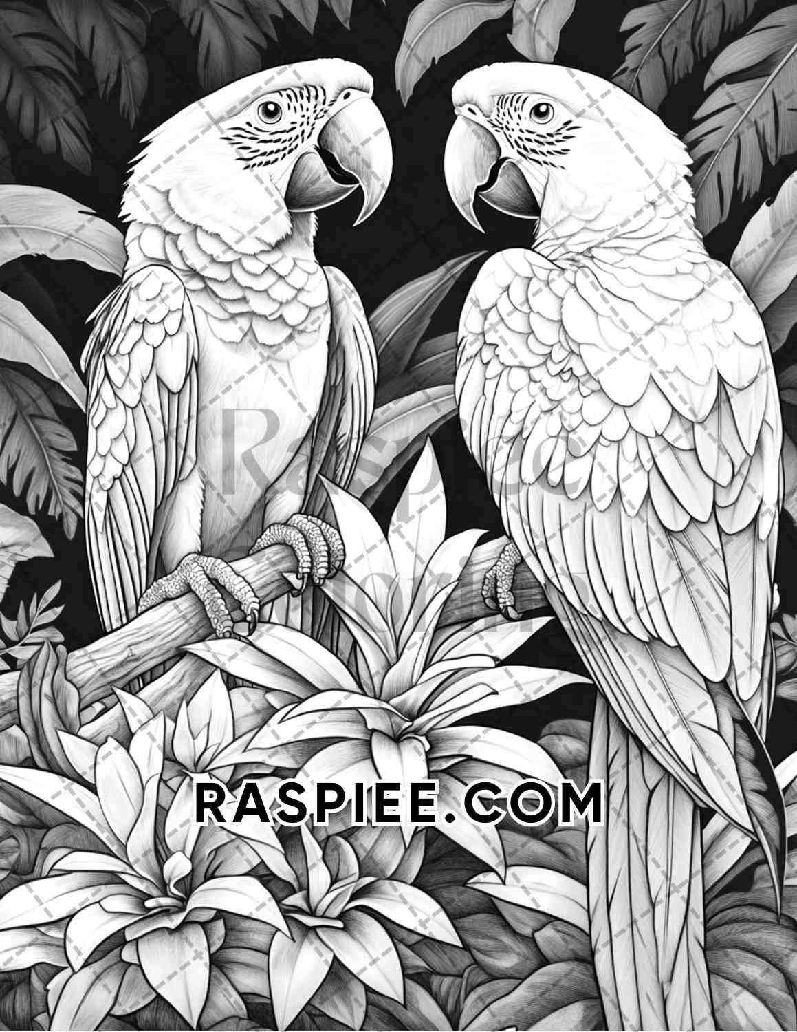 Flowers and Birds Adult Coloring Pages Printable PDF Instant Download - RASPIEE