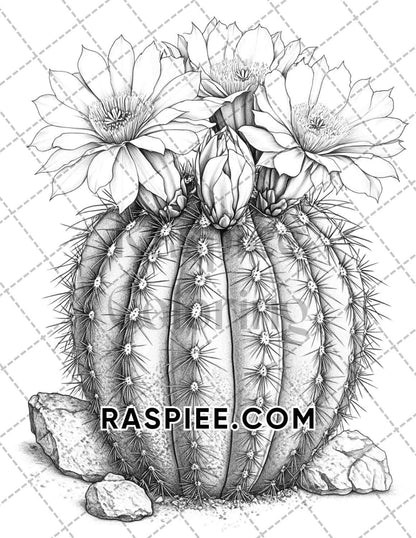 Succulent Blossoms Adult Coloring Pages Printable PDF Instant Download