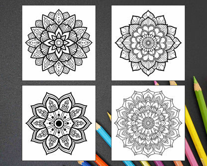 250 Mandala Adult Coloring Pages Vol.2 - RASPIEE