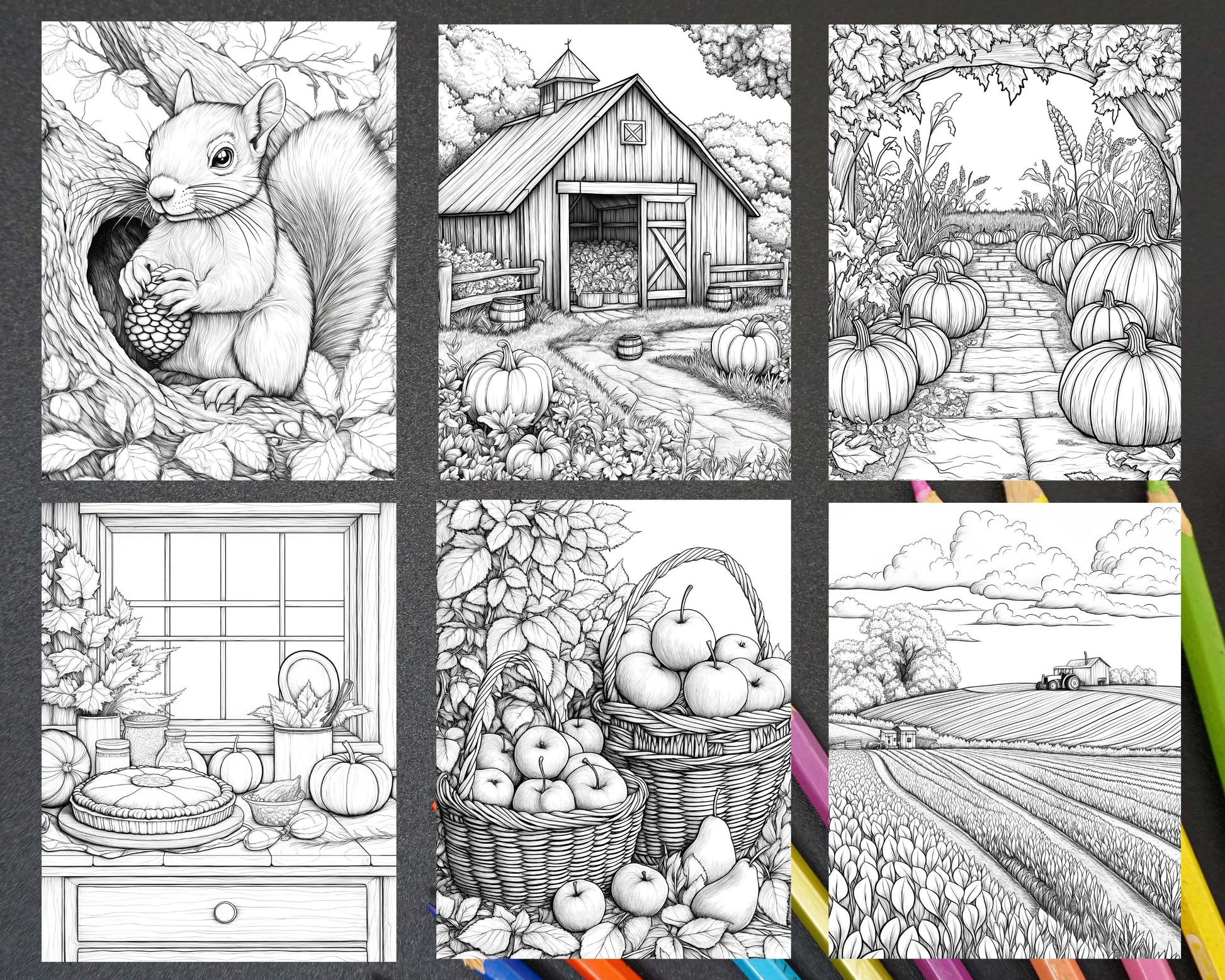 Autumn Charm Adult Coloring Pages Printable PDF Instant Download - RASPIEE