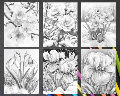 77 Winter Flowers Adult Coloring Pages