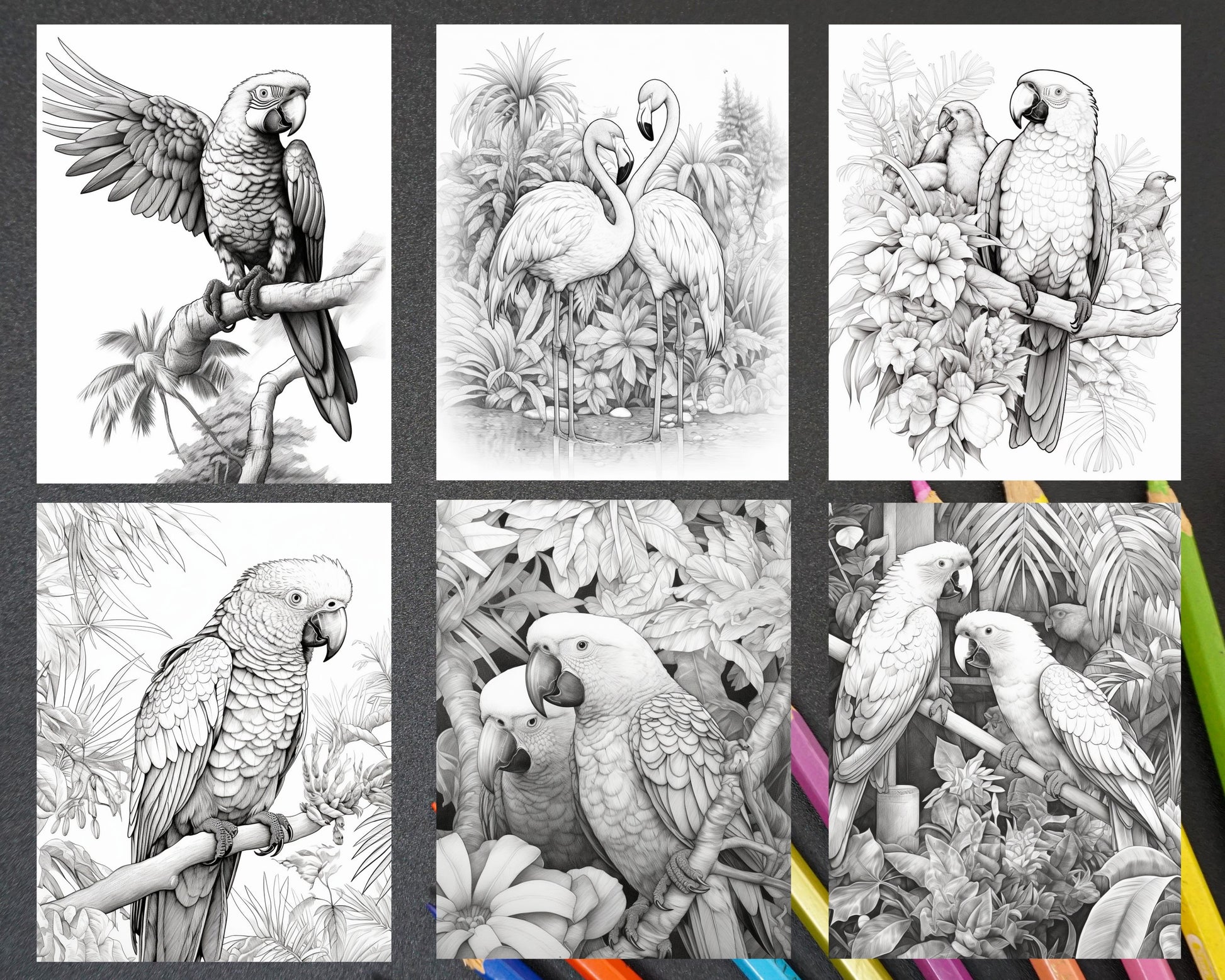 Boho Birds: Watercolor Illustrations in Grayscale: Grayscale Coloring Book  for Adults