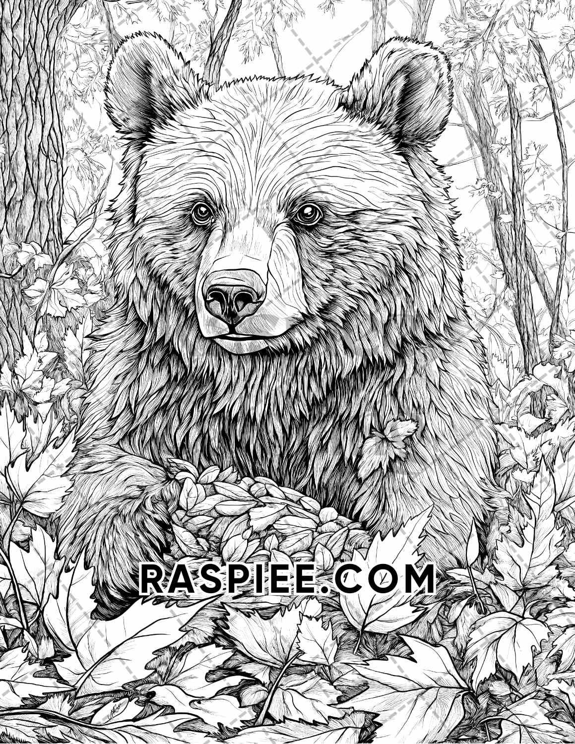 Autumn Charm Adult Coloring Pages Printable PDF Instant Download - RASPIEE