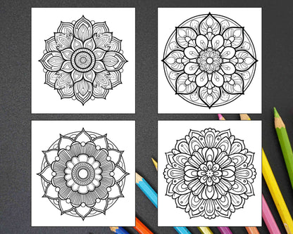 250 Mandala Adult Coloring Pages Vol.3 - RASPIEE