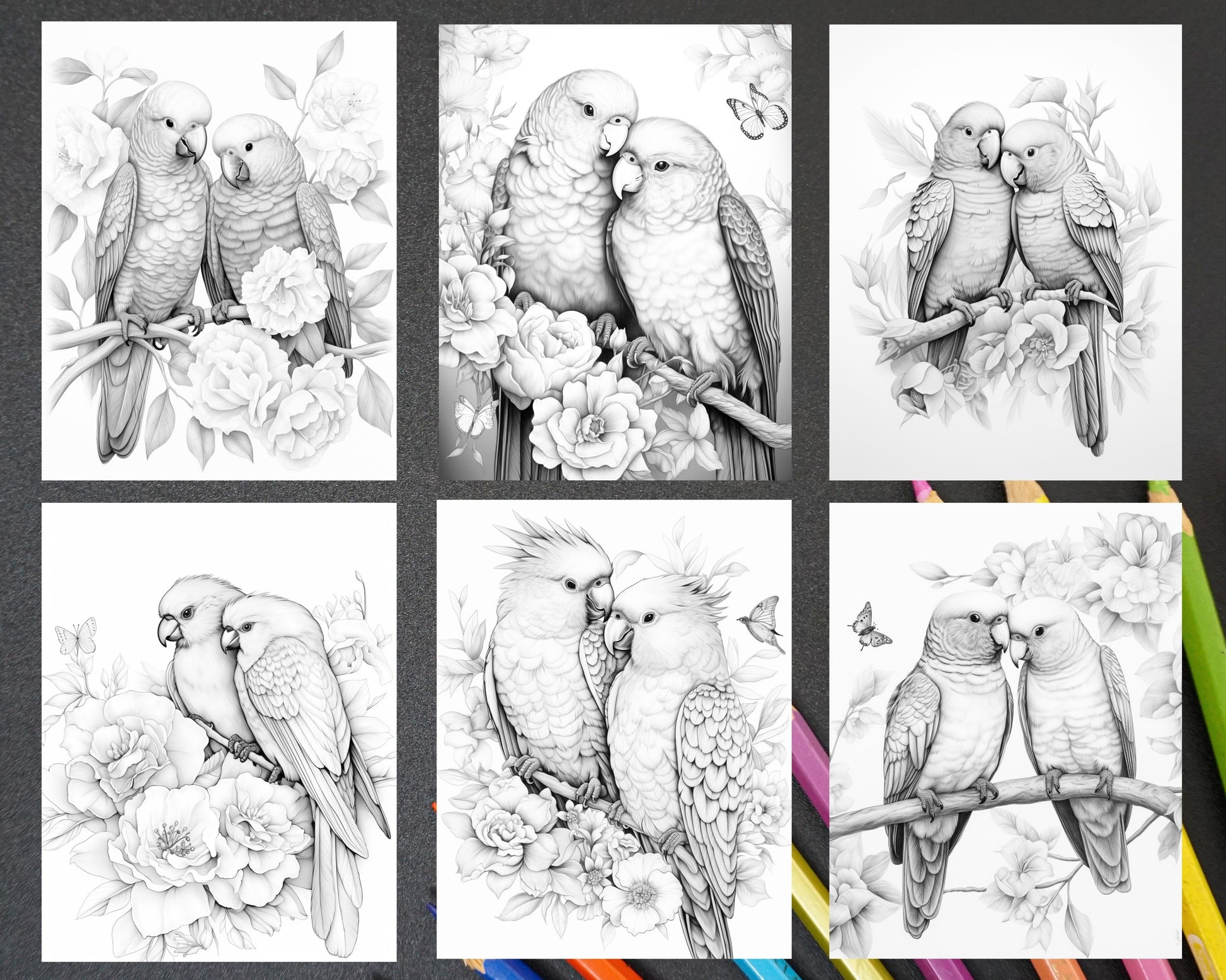 Lovebird Coloring Pages for Adults, Adult Coloring Book Download, Bird Coloring Pages, Animal Coloring Pages, Flower Coloring Pages, Floral Coloring Pages, Grayscale Coloring Pages