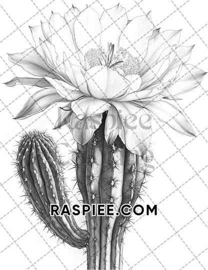 Succulent Blossoms Adult Coloring Pages Printable PDF Instant Download