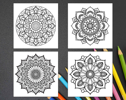 250 Mandala Adult Coloring Pages Vol.1 - RASPIEE