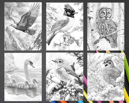 80 Winter Birds Adult Coloring Pages