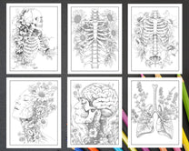 50 Botanical Anatomy Adult Coloring Pages Printable PDF Instant Downlo ...