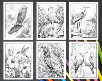 50 Beautiful Birds Adult Coloring Pages Printable PDF Instant Download ...