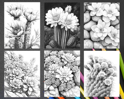 Succulent Blossoms Adult Coloring Pages Printable PDF Instant Download