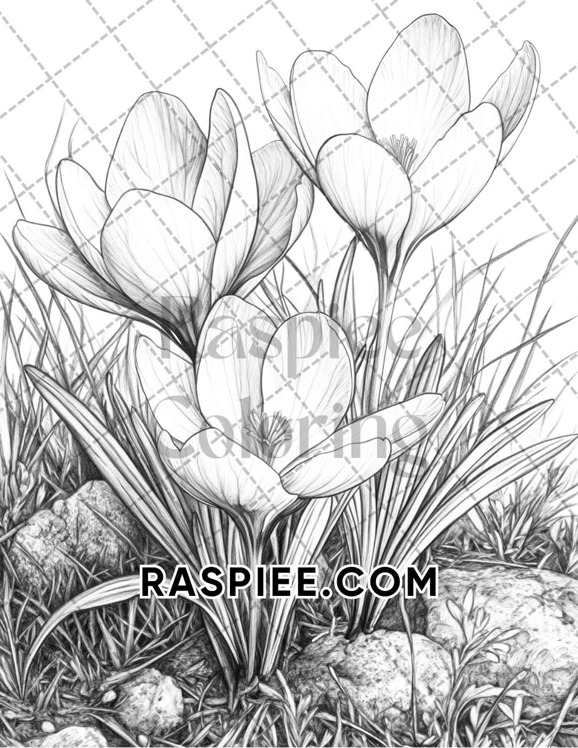 Seasonal Flowers Adult Coloring Pages Printable PDF Instant Download