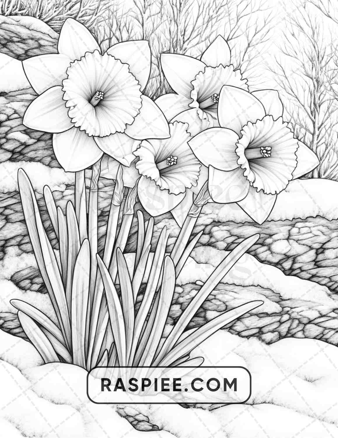 77 Winter Flowers Adult Coloring Pages