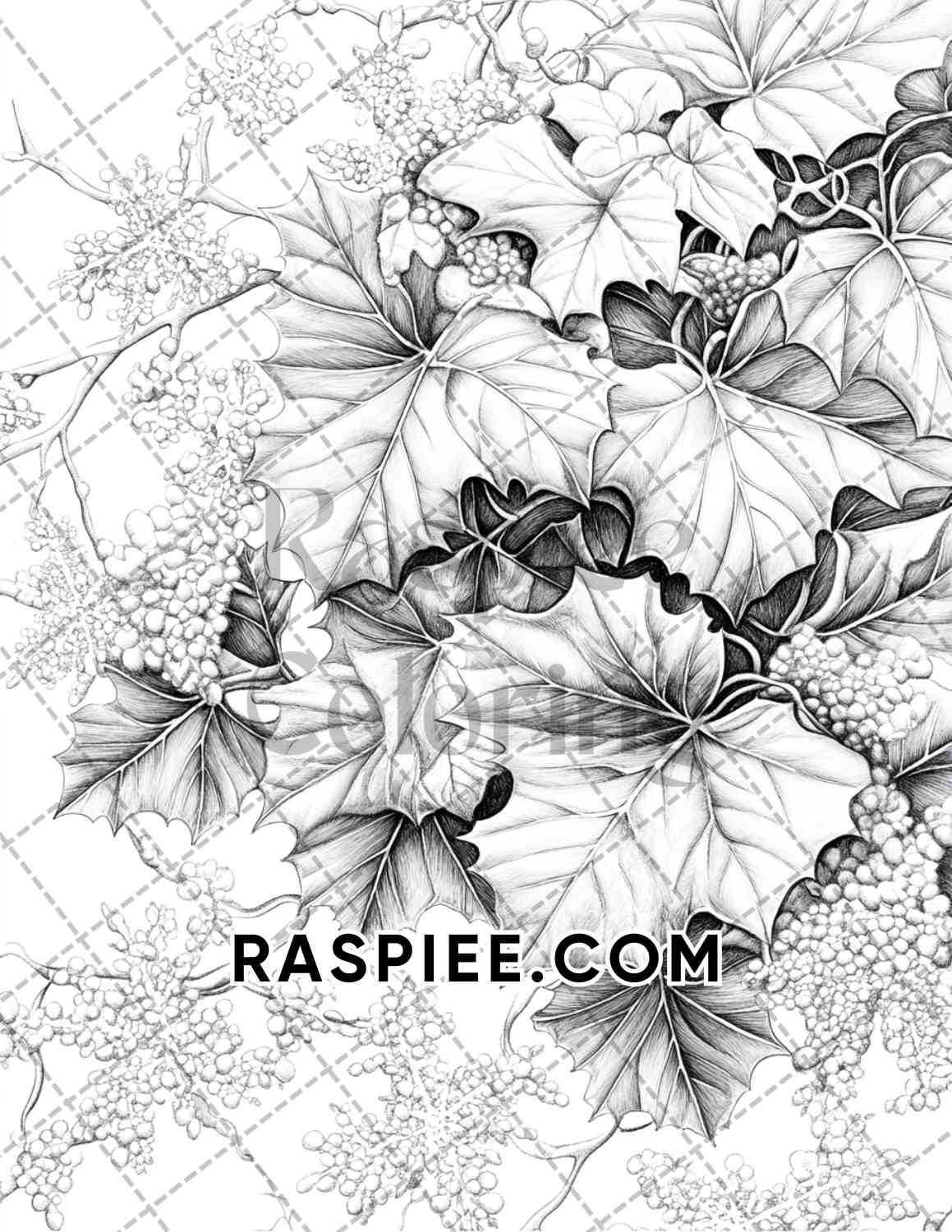 Seasonal Flowers Adult Coloring Pages Printable PDF Instant Download