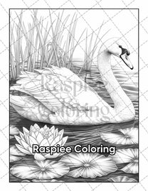 50 Beautiful Birds Adult Coloring Pages Printable PDF Instant Download ...