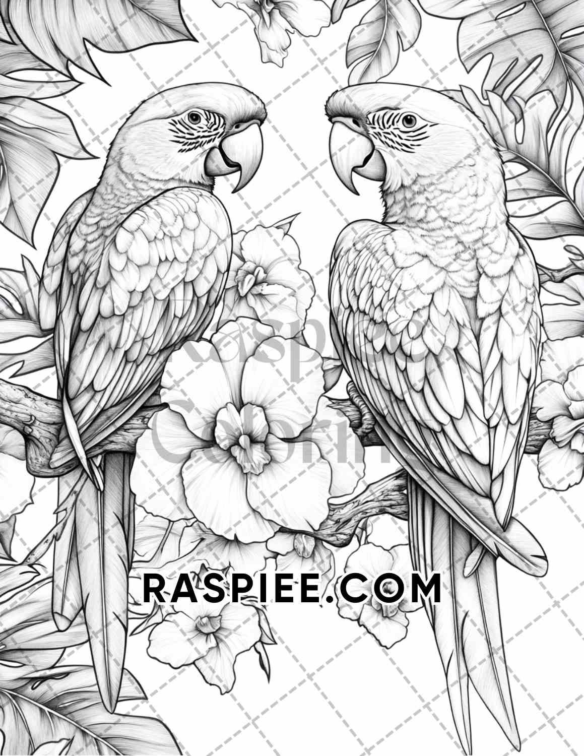 Flowers and Birds Adult Coloring Pages Printable PDF Instant Download - RASPIEE