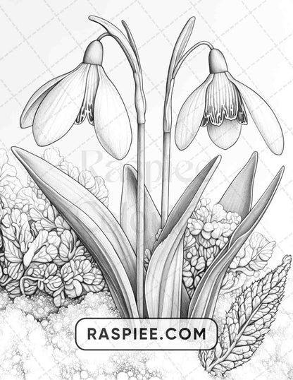 77 Winter Flowers Adult Coloring Pages