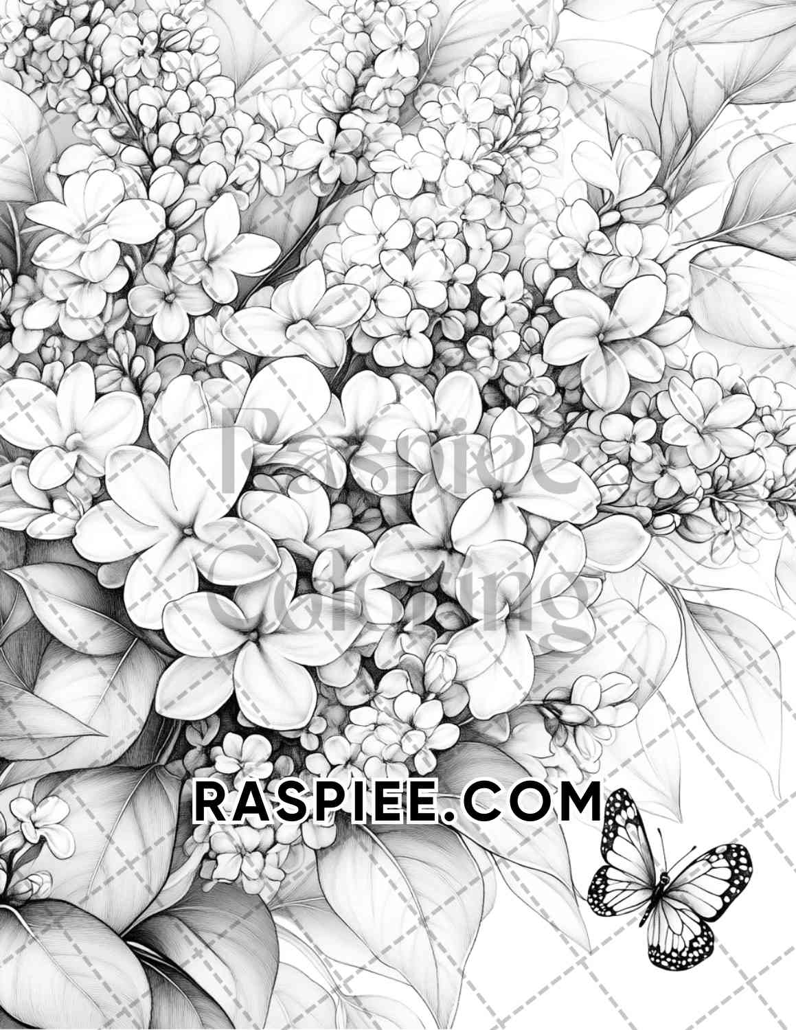 Seasonal Flowers Adult Coloring Pages Printable PDF Instant Download