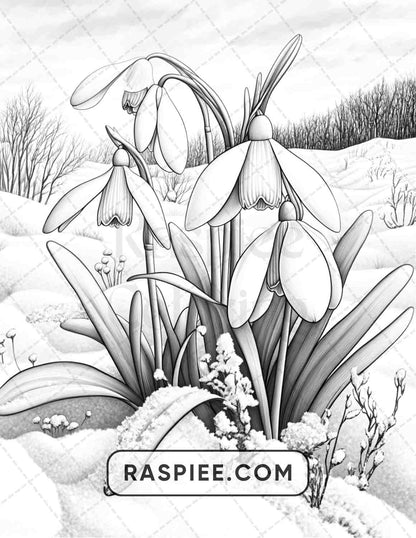 77 Winter Flowers Adult Coloring Pages