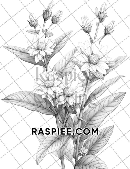 Succulent Blossoms Adult Coloring Pages Printable PDF Instant Download