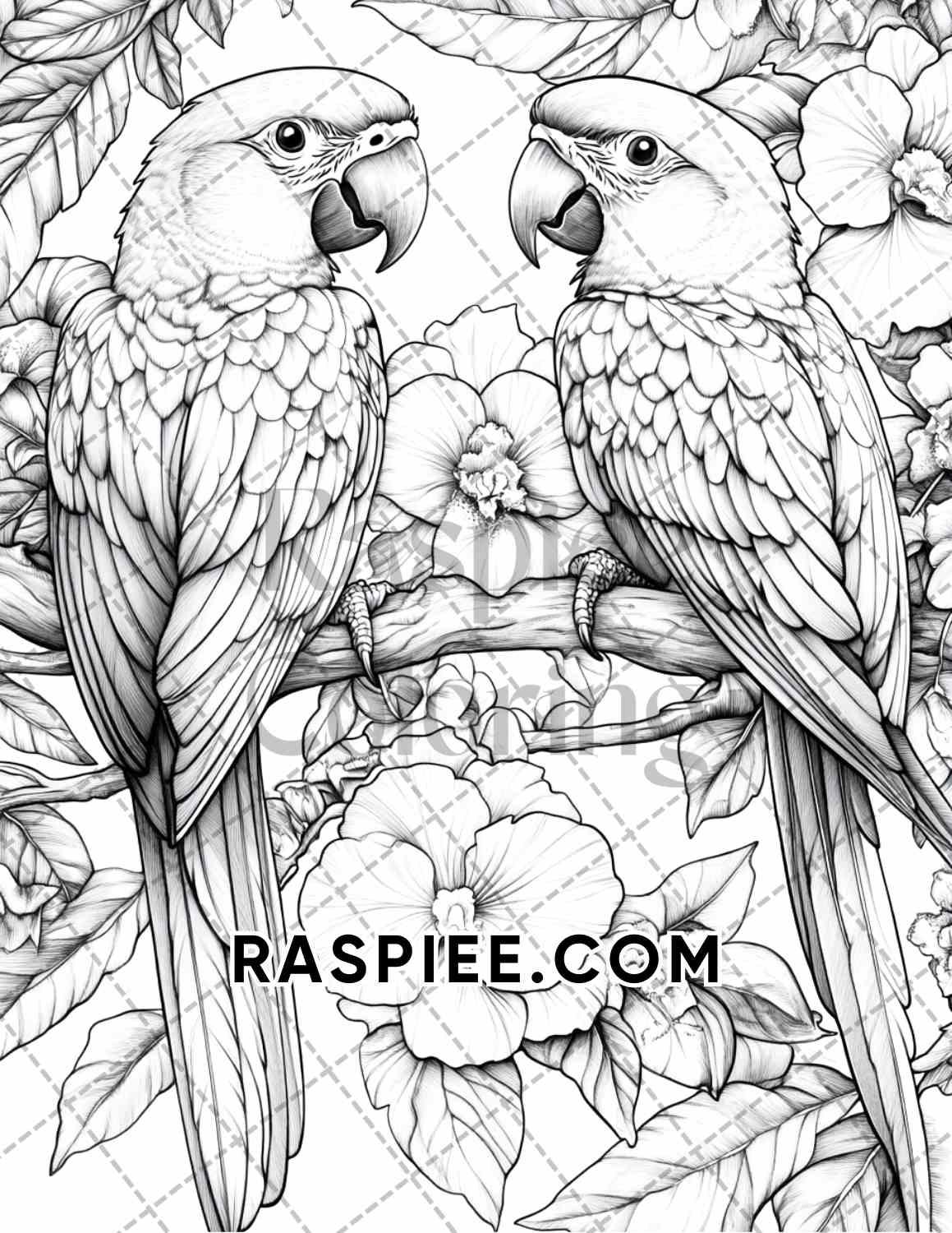 Flowers and Birds Adult Coloring Pages Printable PDF Instant Download - RASPIEE