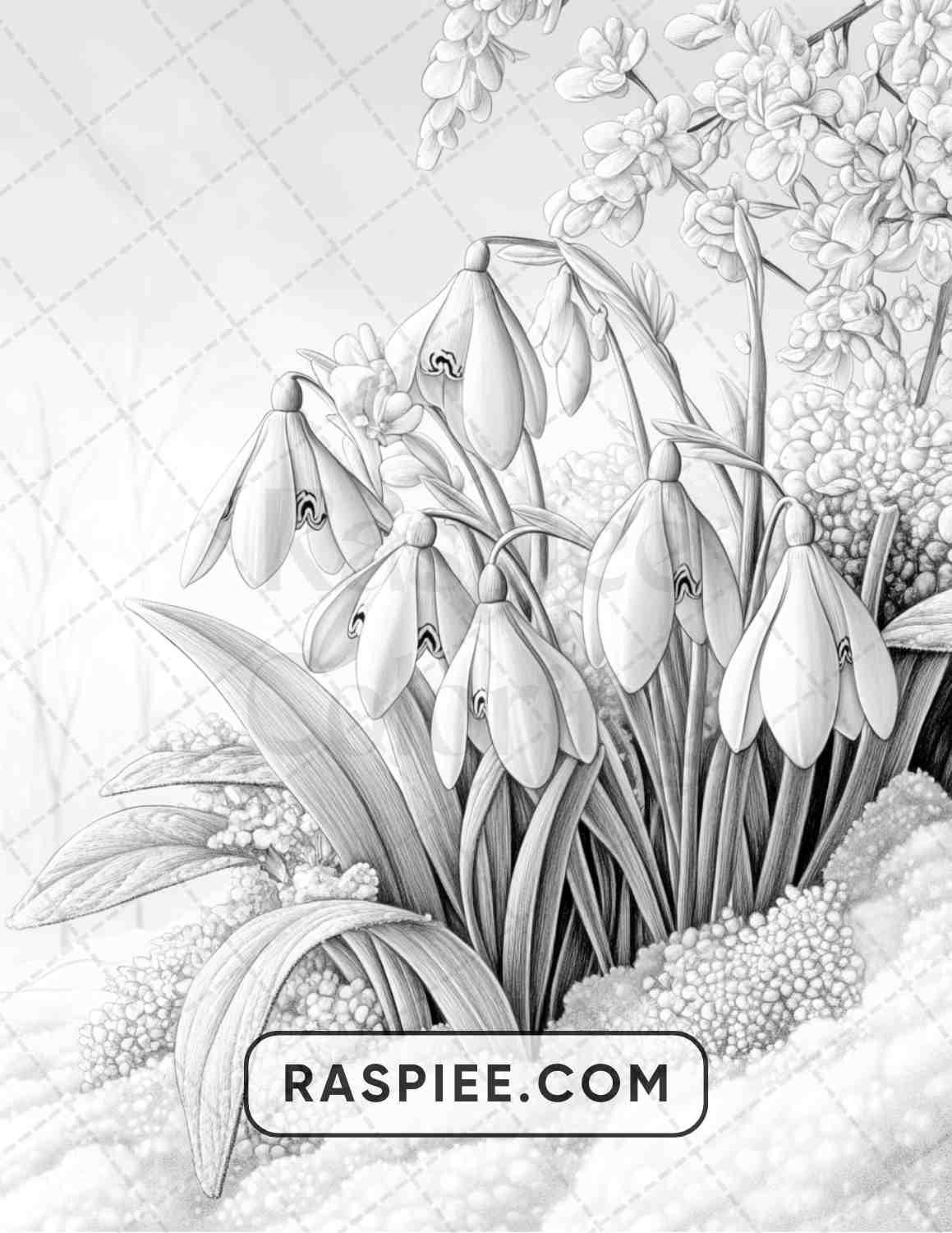 77 Winter Flowers Adult Coloring Pages