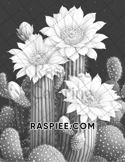 Succulent Blossoms Adult Coloring Pages Printable PDF Instant Download