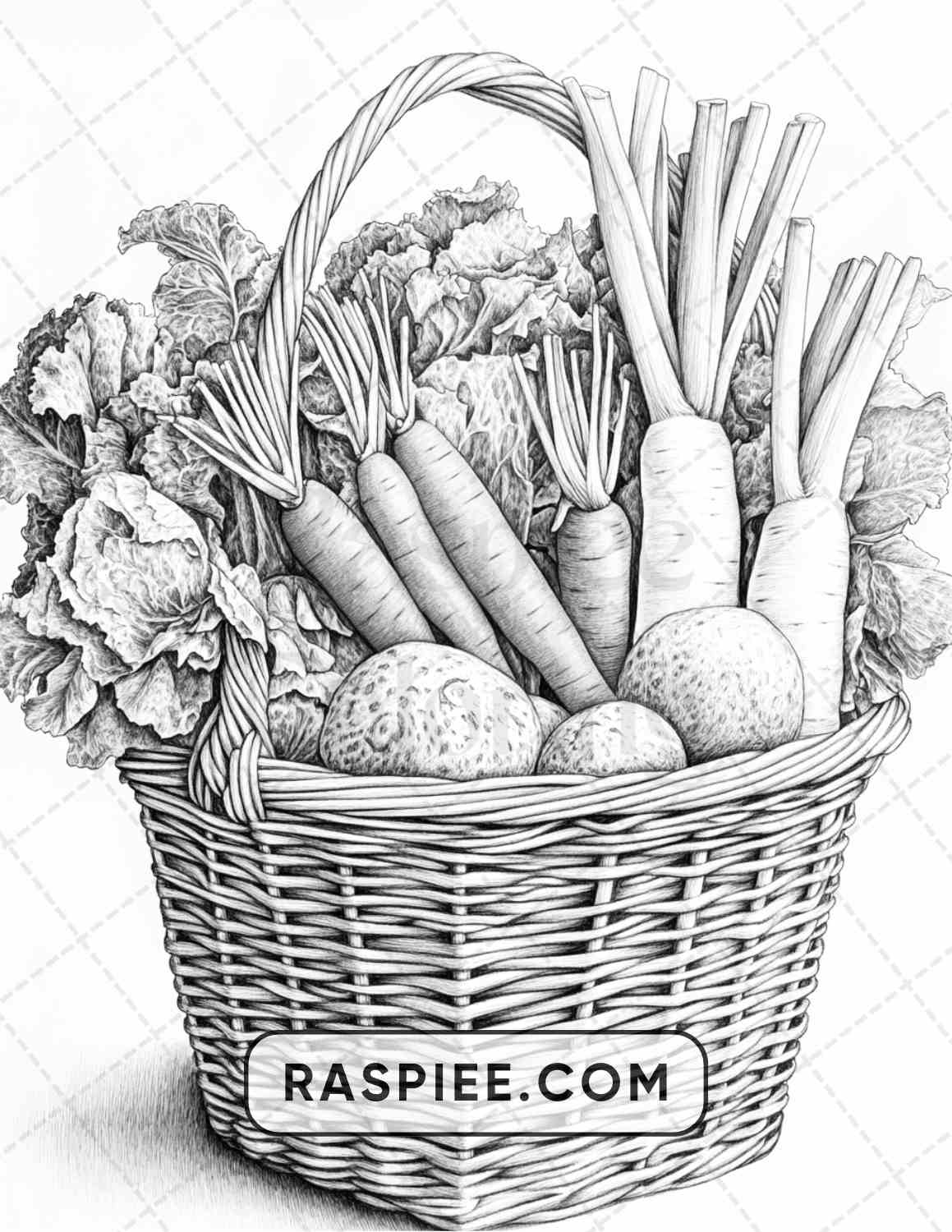 80 Still Life Adult Coloring Pages - RASPIEE