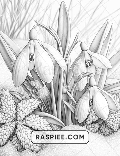 77 Winter Flowers Adult Coloring Pages