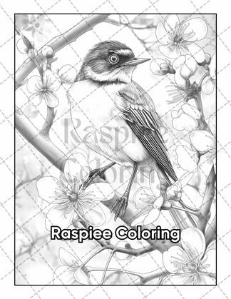 50 Beautiful Birds Adult Coloring Pages Printable PDF Instant Download ...